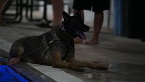 MWD complete water familiarization training