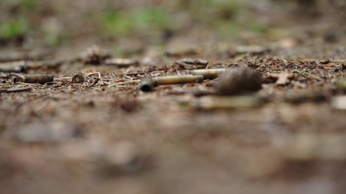 Reconnaissance Marines Sniper Training at Panzer Kaserne