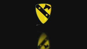 1st Cavalry Division Sustainment Brigade’s 67th Birthday Commemoration