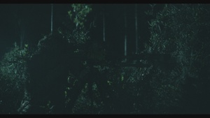 Special Reconnaissance Night Ops B-Roll