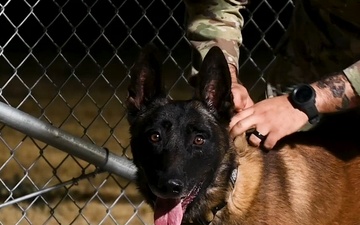 A day in the life of a MWD at Dyess