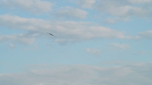 B-2 Australia BTF takeoffs and landings