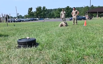 Joint Base McGuire-Dix-Lakehurst NCOA Master Fitness Trainer Course Assessment. August 28, 2024.