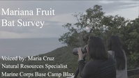 Marine Corps Base Camp Blaz Enviromental team conducts a Mariana Fruit Bat Survey