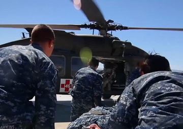 MHSRS Awards (Honorable Mention) - The PMS 408 Expeditionary Medical (ExMed) Team