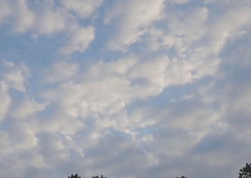 Army Reserve Best Squad Competition 2024 Cadre Perspective