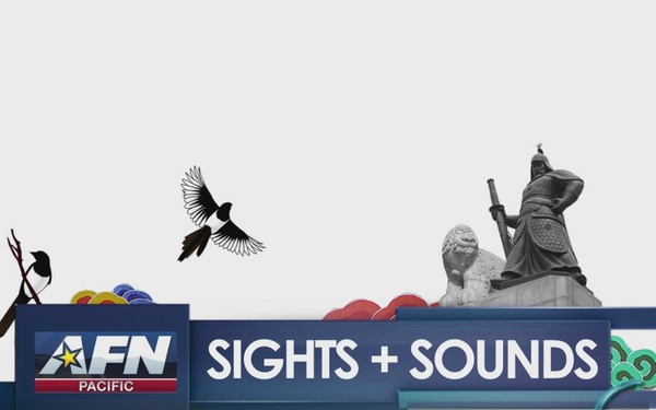AFN Kunsan Sights and Sounds - Natural Shad and Crab Festival