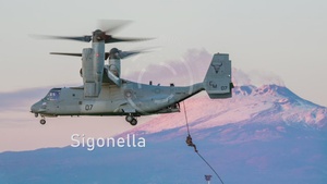 Naval Air Station Sigonella Suicide Proclamation