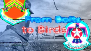 From Bolts to Birds