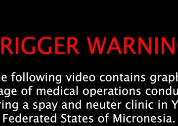 Pacific Partnership 2024-2 Spay and Neuter Clinic in Yap