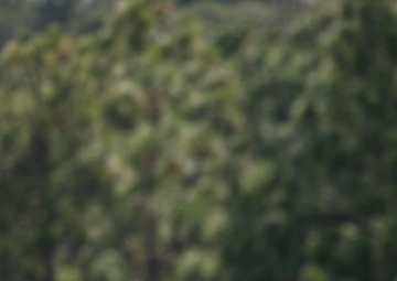 MWfC 2024 HotEx Live Fire Demonstration Reel