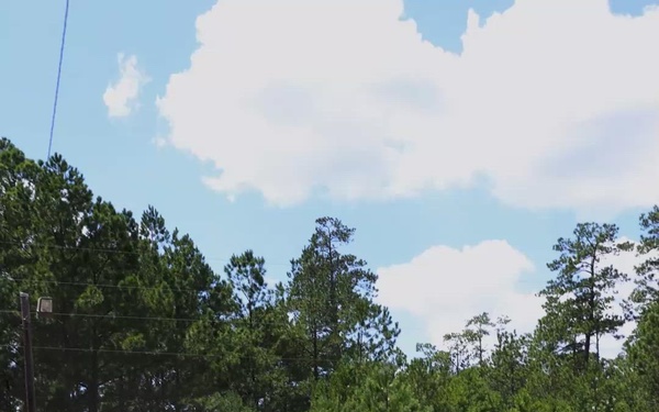 Ghillie Wash Vertical EPK