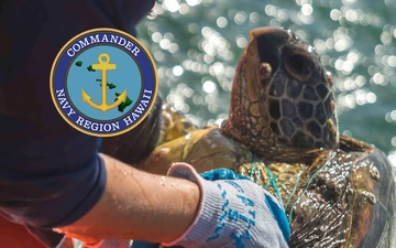 NAVFAC Hawaii Collects New Data For Turtle Tagging Project