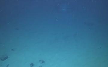 Coast Guard Marine Board of Investigation releases remotely operated vehicle footage from the Titan submersible incident salvage