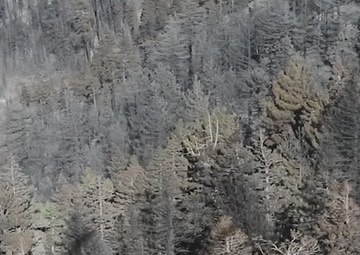 CAARNG Flight Engineer Reflects on Role in Wildland Firefighting Operations