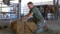 2nd MLG Marines practice animal packing skills during course at MCMWTC Bridgeport