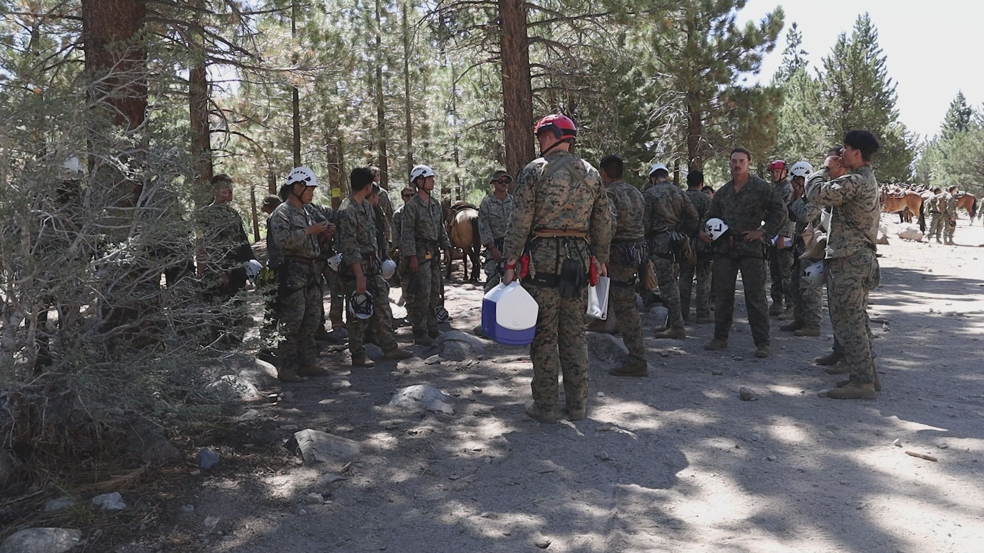 U.S. Marines with 2nd Battalion, 1st Marine Regiment, 1st Marine Division, set up a one rope bridge as a part of Mountain Exercise 5-24 at Marine Corps Mountain Warfare Training Center, Bridgeport, California, Aug. 6, 2024. MTX is a month-long exercise designed to better prepare units to survive and operate effectively in austere, mountainous terrain. (U.S. Marine Corps photo by Lance Cpl. Damian Oso)