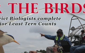 For the Birds: Tulsa District Biologists Complete 2024 ILT Counts