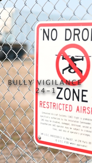 Operation Bully Vigilance