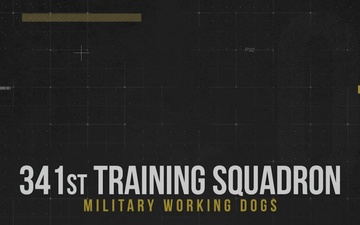 341st MWD Graduation Video