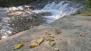 Fall 2024 Views at Fort McCoy's Trout Falls in Pine View Recreation Area