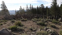 Marines with 2/1 practice survival techniques during Mountain Exercise 5-24