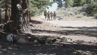 U.S. sailors and German soldiers conduct patient evacuation during mountain exercise 5-24