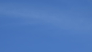 F-35A Lightning IIs fly over Razorback Range