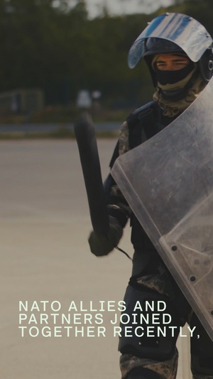 NATO partners and allies participate in Fire Phobia training