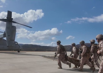 VMM-362 and 1/11 conduct CASEVAC training