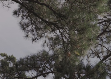 Army Best Squad 2024 helocast