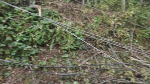 XVIII Airborne Corps Hurricane Helene Relief