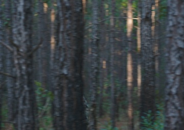 Army Best Squad 2024