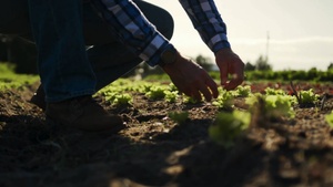 Hispanic Heritage Month - Michigan National Guard