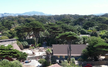 Local Veterans at the San Francisco Zoo