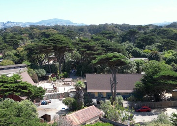 Local Veterans at the San Francisco Zoo
