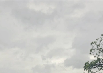 Vertical B-Roll: Guardians in Action: Florida and South Carolina National Guard Lead Tornado Search and Rescue After Milton's Fury