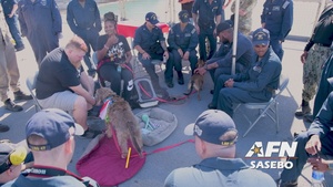 Animal Visitation to USS Rushmore