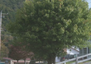 Tennessee National Guard continues to clear debris following Hurricane Helene