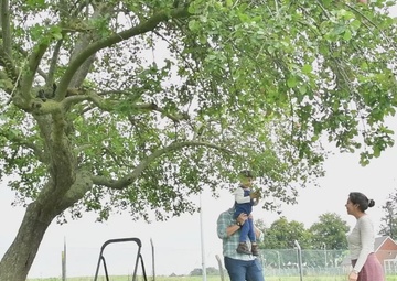 Apples, Apples and more Apples broll