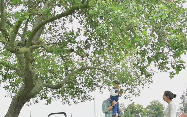 Apples, Apples and more Apples broll