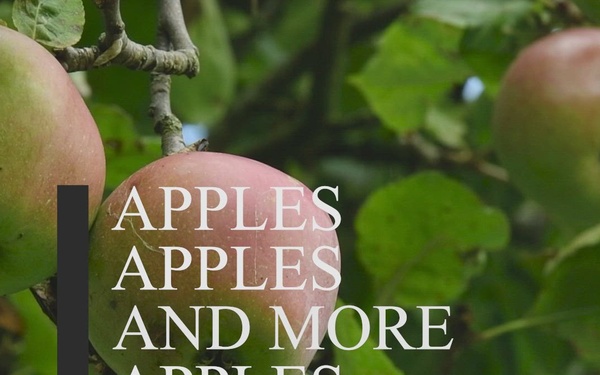 Apple, apples and more apples