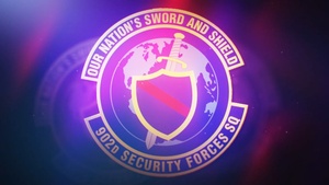 902nd Security Forces Squadron provides nonlethal weapons training