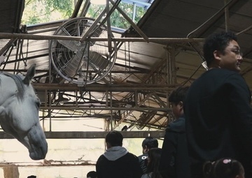 8th Army Soldiers Volunteer At Grace Stables Korea