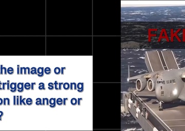 Identifying misinformation and disinformation