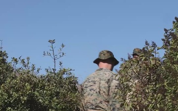 B-Roll: 1st Recon Bn. Marines conduct support by fire range