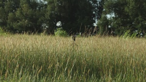 KS 25 | 3rd Intel Presents Sensing Capabilities to 12th MLR Leadership