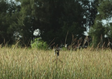 KS 25 | 3rd Intel Presents Sensing Capabilities to 12th MLR Leadership