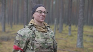 Strong Griffin: NATO flexes maneuvering might in Lithuanian exercise