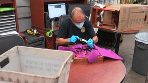 B-roll Incoming international small package mail inspections.